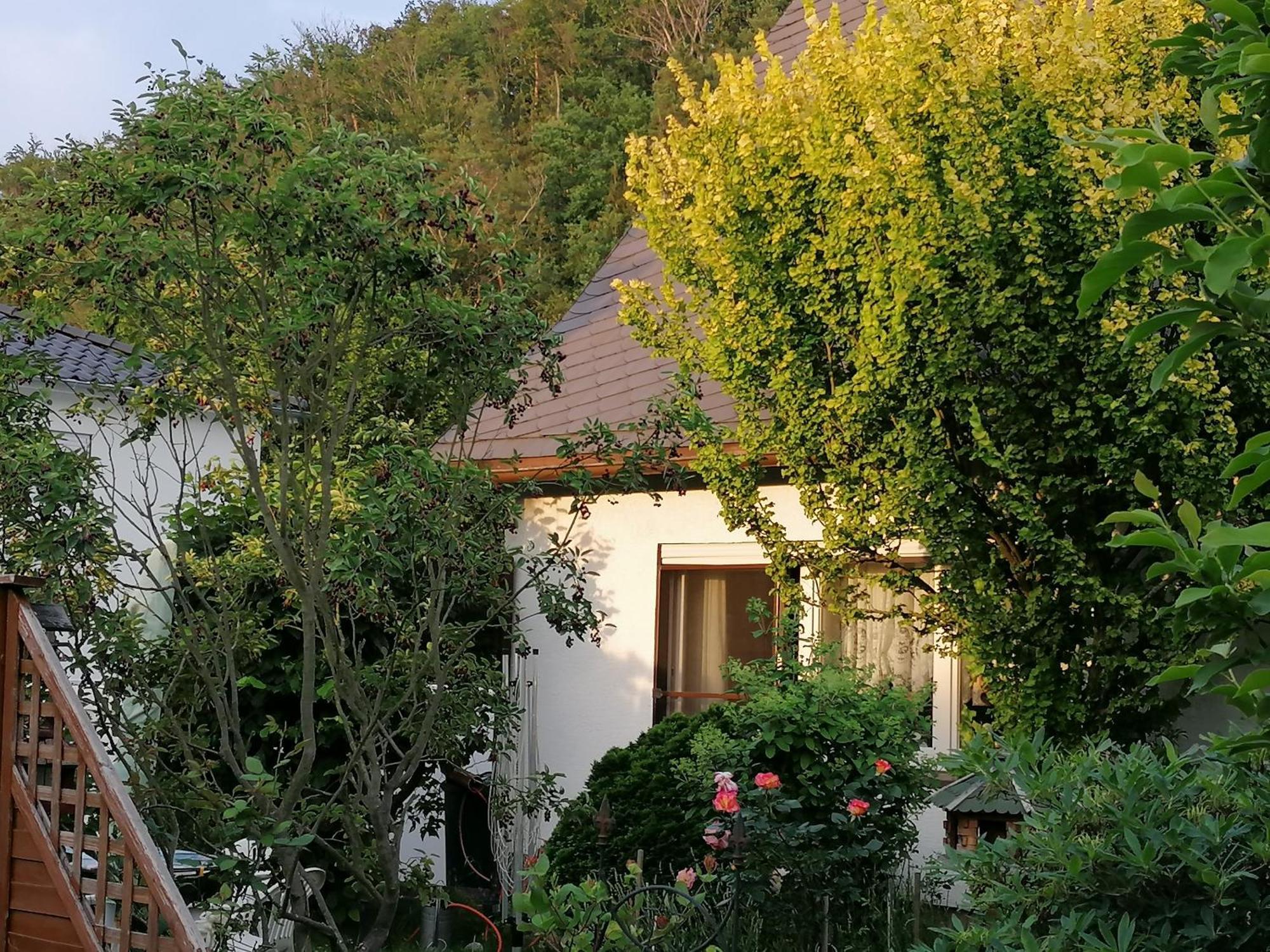 Haus Am Waldrand Apartment Freital Exterior photo